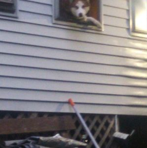 Meet your Posher, Leonel